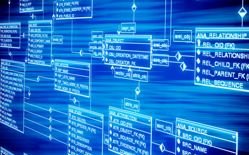 DataBase Design and SQL: the Blueprint for Data Architecture